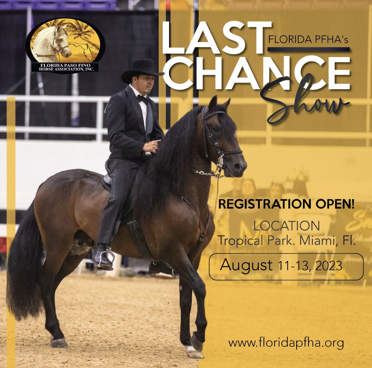 Florida Paso Fino Horse Association